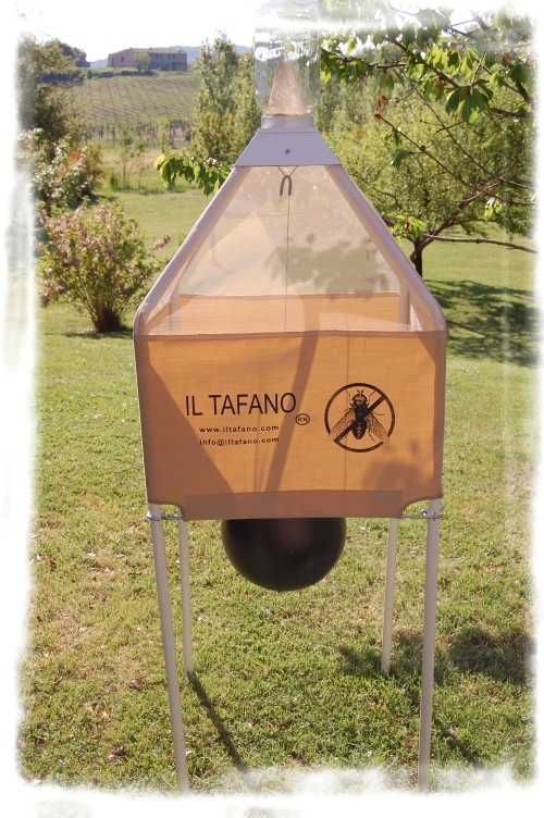 Trappola per tafani - Il Tafano